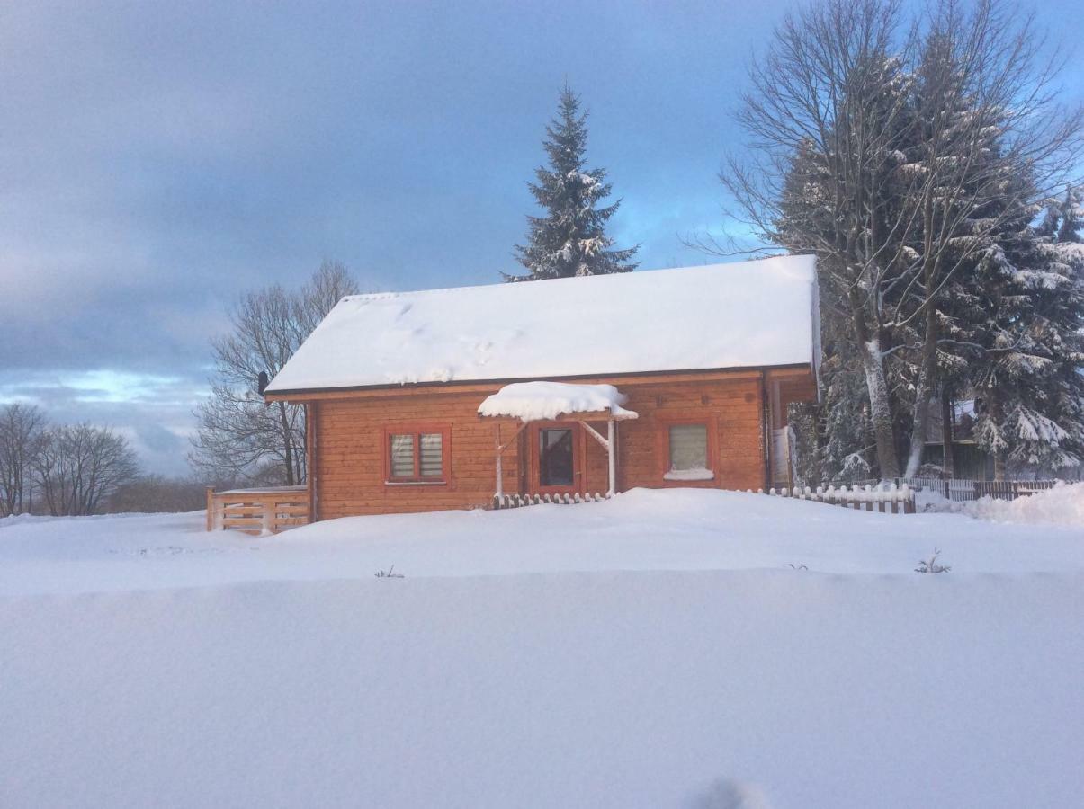 Вилла Blockhaus Harzblick Standard Хоегайс Экстерьер фото